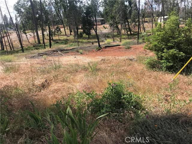 Magalia, CA 95954,13579 Wichita