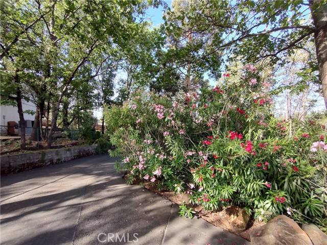 Paradise, CA 95969,1850 Salida
