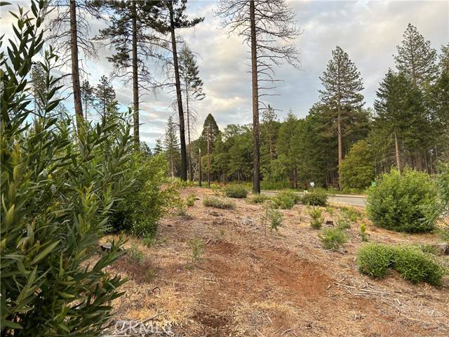 Paradise, CA 95969,0 skyway