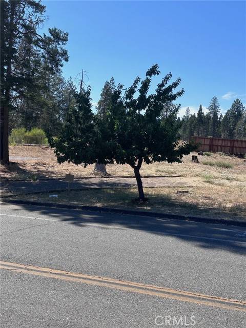 Magalia, CA 95954,13789 W Park