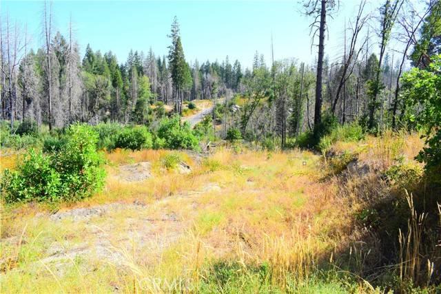 Berry Creek, CA 95916,0 Oak
