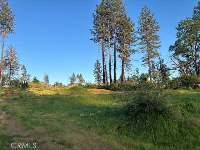 Paradise, CA 95969,8354 Skyway