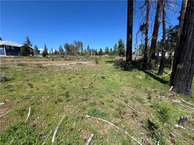Magalia, CA 95954,13630 Einstoss