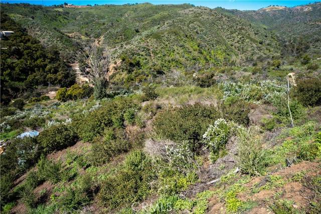 Malibu, CA 90265,0 Latigo Canyon