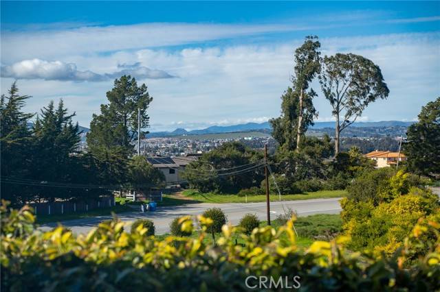 Arroyo Grande, CA 93420,765 Mesa View #252