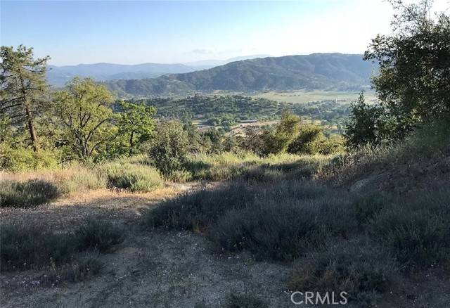 Tehachapi, CA 93561,24091 Jacaranda Drive