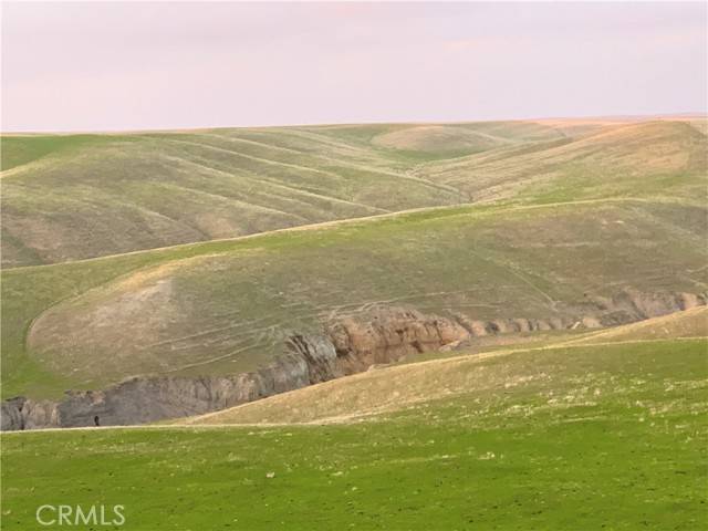 Santa Margarita, CA 93453,7390 Cattle