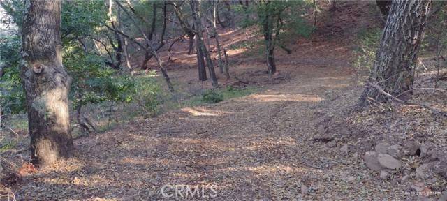 Templeton, CA 93465,9500 Santa Rosa Creek