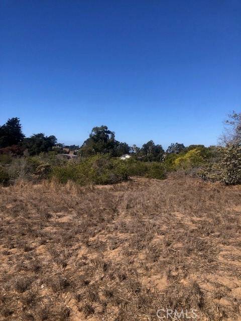 Los Osos, CA 93402,2081 Andre