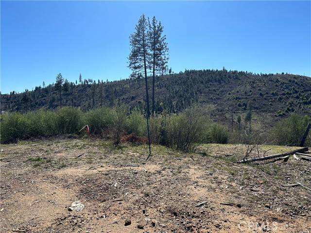 Oroville, CA 95965,1234 Hog Ranch Rd