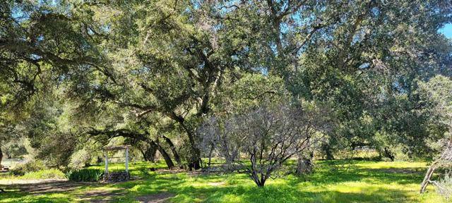 Campo, CA 91906,2069 Buckman Springs Road