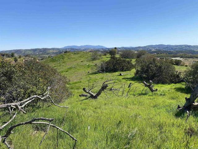 Temecula, CA 92590,21750 Foli Ranch