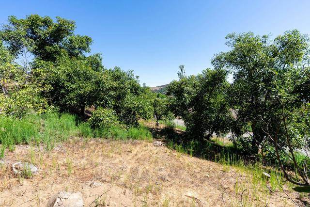 Fallbrook, CA 92028,0 Wilt