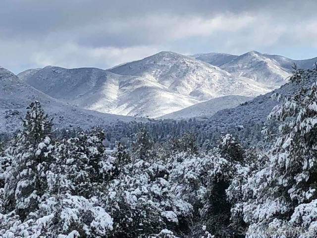 Pine Valley, CA 91962,9150 Pine Creek