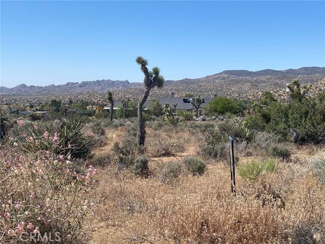 Pioneertown, CA 92268,0 Geronimo Trail