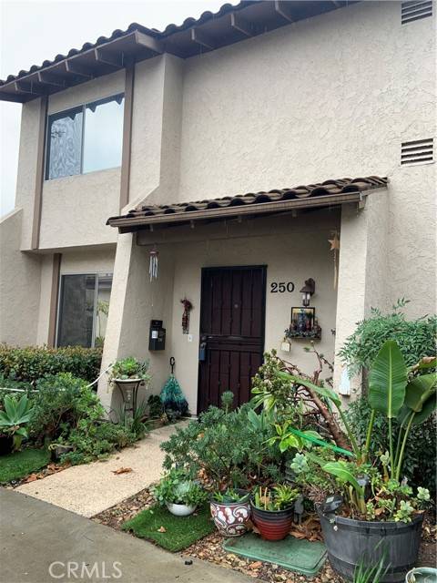 Anaheim Hills, CA 92807,250 S Camino De Paz