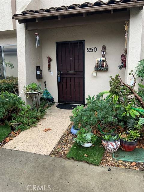 Anaheim Hills, CA 92807,250 S Camino De Paz