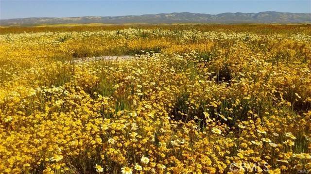 California Valley, CA 93453,0 Arrowhead