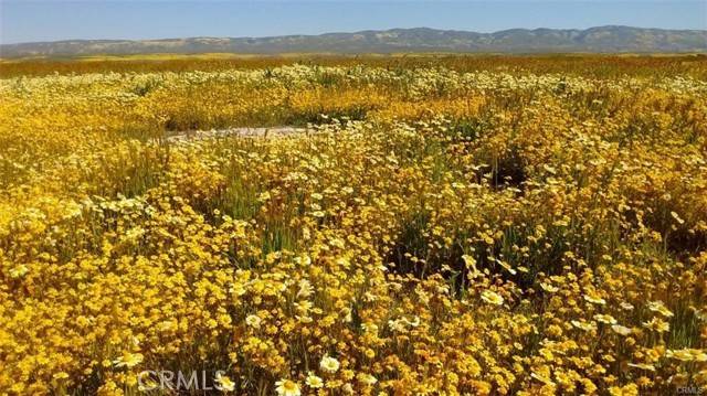 California Valley, CA 93453,0 Colusa