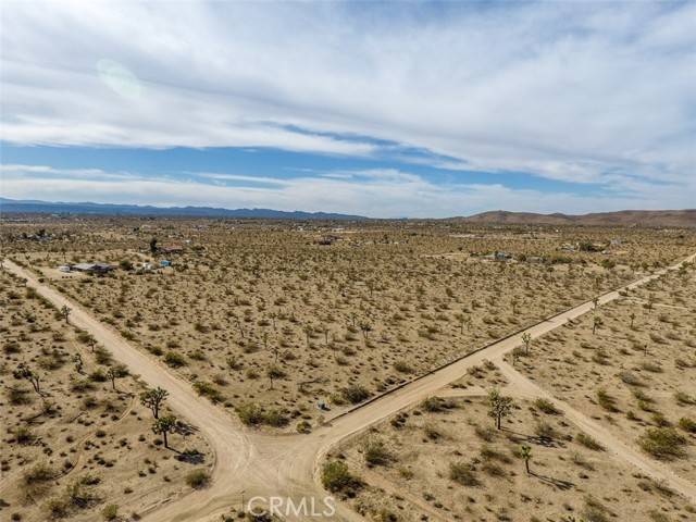 Yucca Valley, CA 92284,59970 Campanula