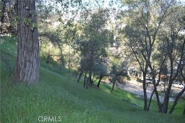 Tujunga, CA 91042,0 Highcliff Trail