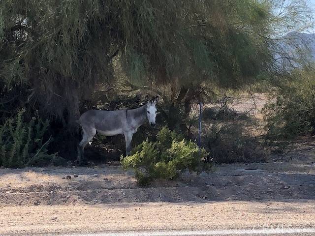 Needles, CA 92363,0 Skyview Drive