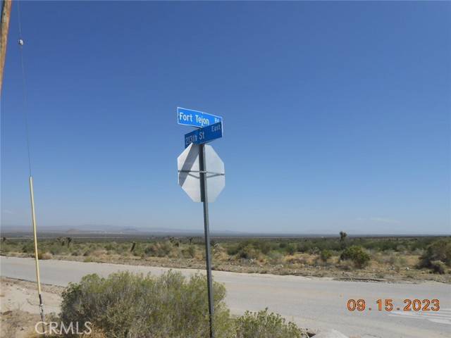 Llano, CA 93544,213 Vac/Fort Tejon Drt /213 Ste