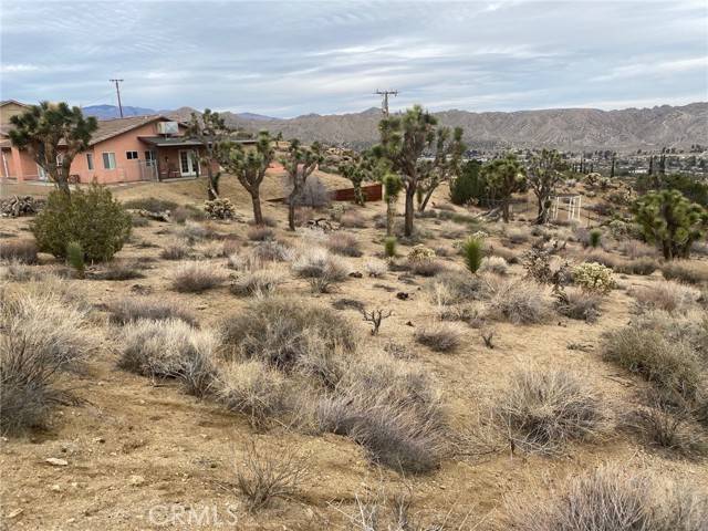 Yucca Valley, CA 92284,0 Free Gold