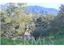 Tujunga, CA 91042,0 High Cliff