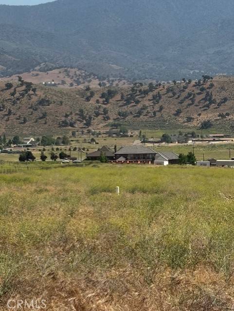 Tehachapi, CA 93561,24668 Roost Ave