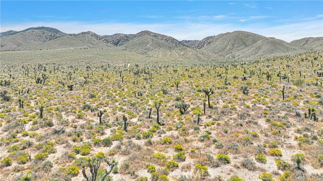 Lucerne Valley, CA 92356,0 Near Sutter