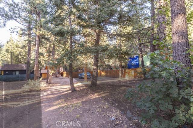 Big Bear, CA 92315,0 Willow