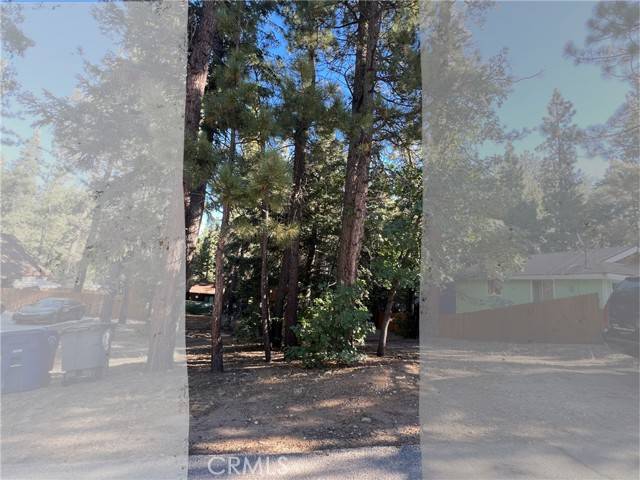 Big Bear, CA 92315,0 Willow