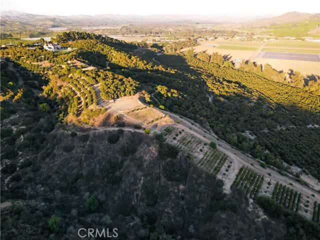 Somis, CA 93066,4305 Groves