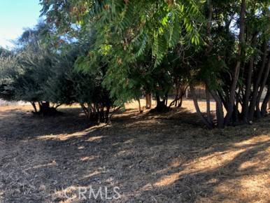 Lake Elsinore, CA 93530,0 Grand Ave. - Lot 31