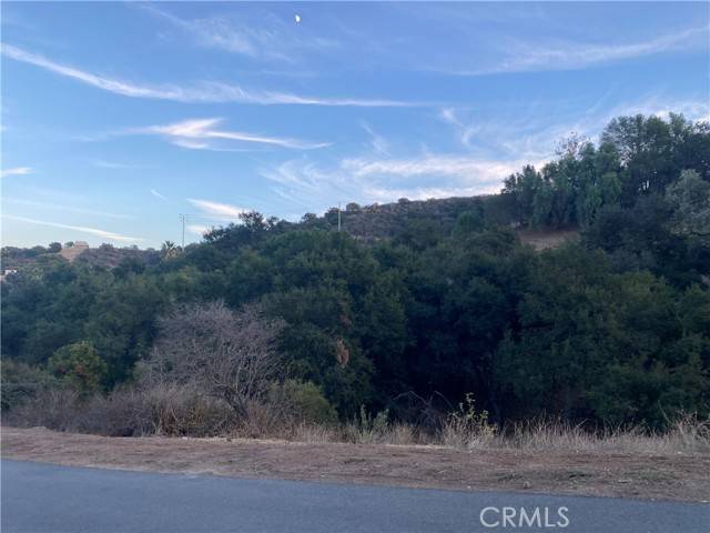 Thousand Oaks, CA 91361,0 S Skyline Dr