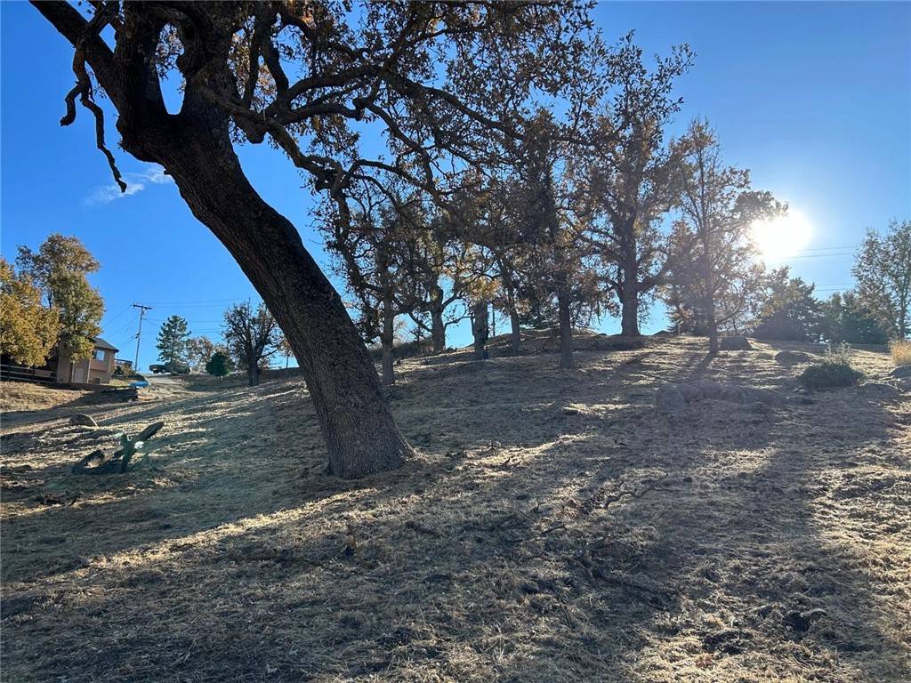 Tehachapi, CA 93561,23840 Dart