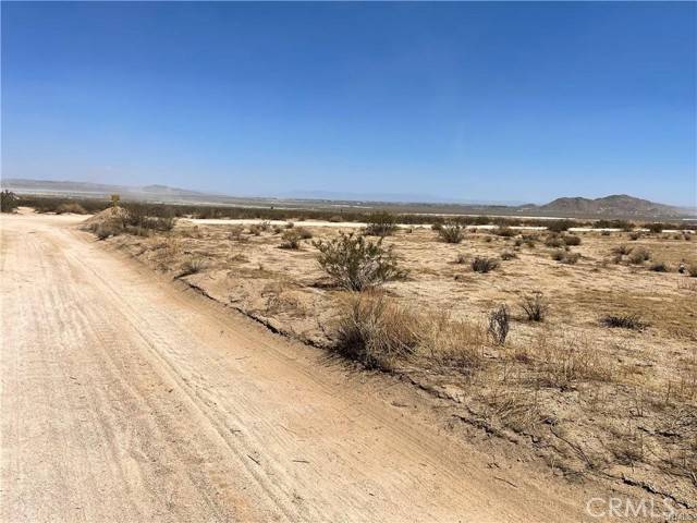 Adelanto, CA 92301,0 Desert Flower