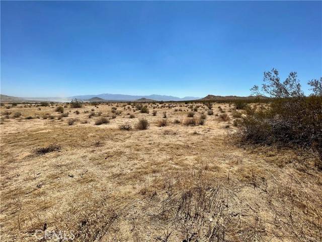 Adelanto, CA 92301,0 Desert Flower