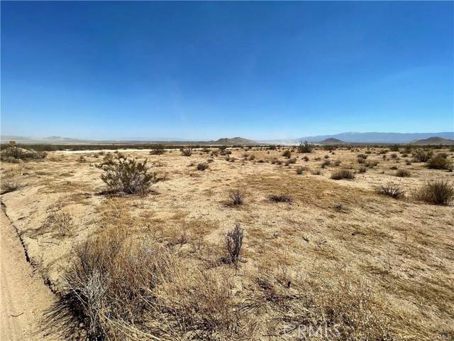 Adelanto, CA 92301,0 Desert Flower