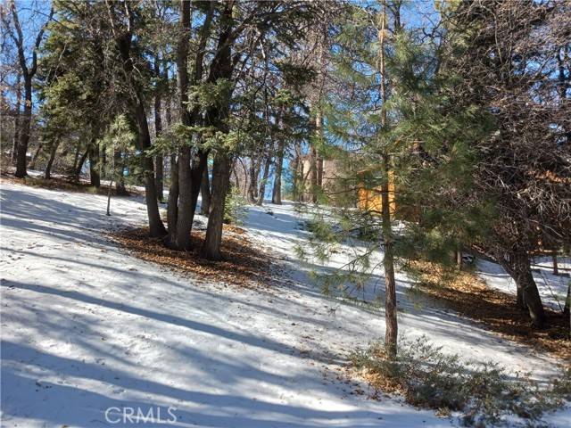 Big Bear City, CA 92314,0 Columbine