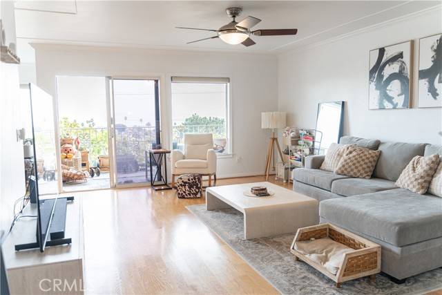 San Pedro, CA 90731,3027 S Peck Avenue #3