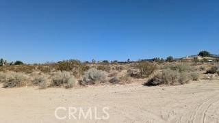 Pinon Hills, CA 92372,0 del rosa