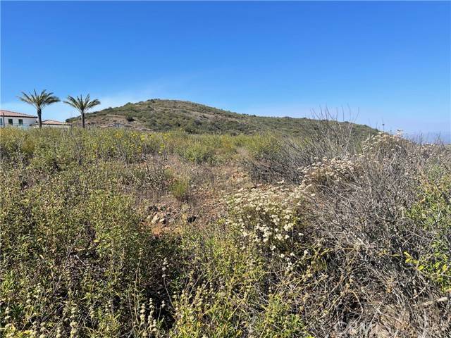 Temecula, CA 92590,0 Masako Circle
