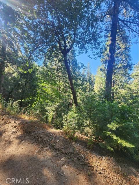 Cedarpines Park, CA 92322,0 Forest