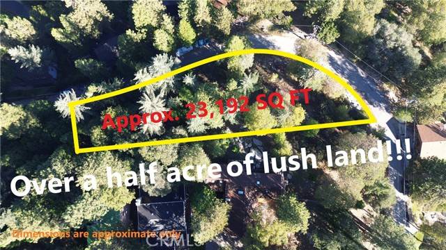 Crestline, CA 92325,203 Canyon View