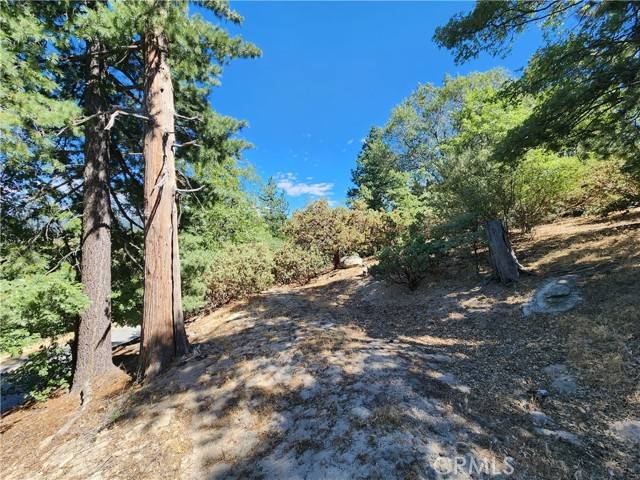 Crestline, CA 92325,203 Canyon View