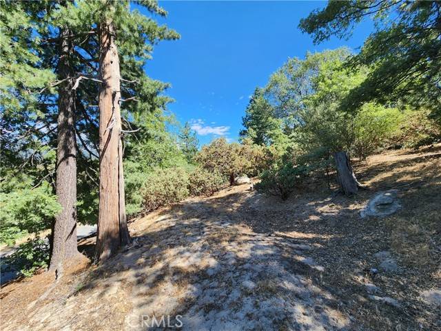 Crestline, CA 92325,203 Canyon View