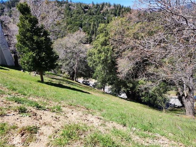 Crestline, CA 92325,0 Delle