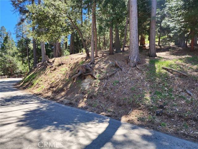 Crestline, CA 92325,0 Altdorf